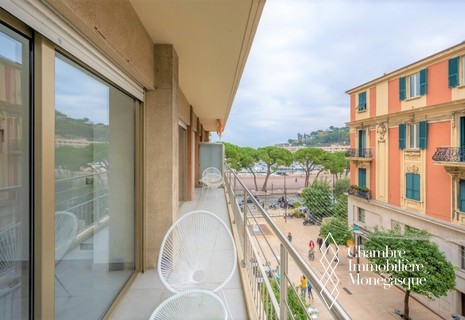 Le Petrel 2 - Monaco - Renovated two bedroom apartment with F1 view