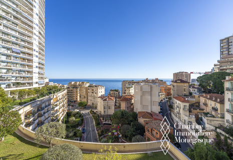 1 bedroom apartment - Annonciade - Sea view and parking