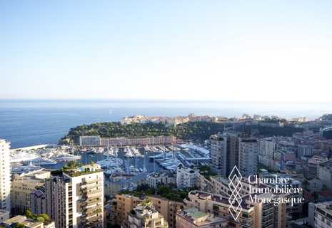 Millefiori - Panoramic sea and Monaco view