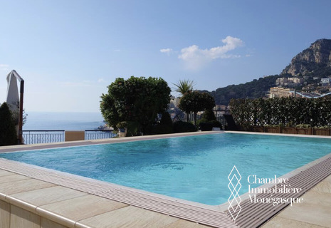 FONTVIEILLE / MEMMO CENTER / 7 ROOMS WITH PRIVATE POOL