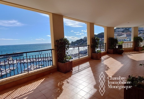 Rental apartment 7 rooms Fontvieille private swimming pool