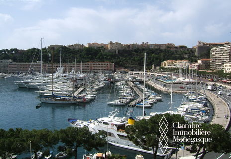 Face au Port de Monaco - Appartement entièrement rénové
