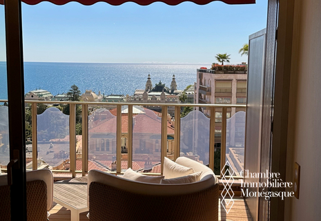 Magnificently furnished 1 bedroom property in the heart of Monte Carlo