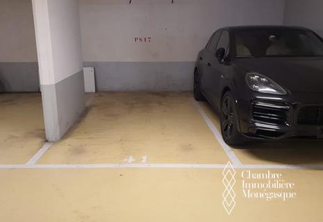 LARGE PARKING SPACE