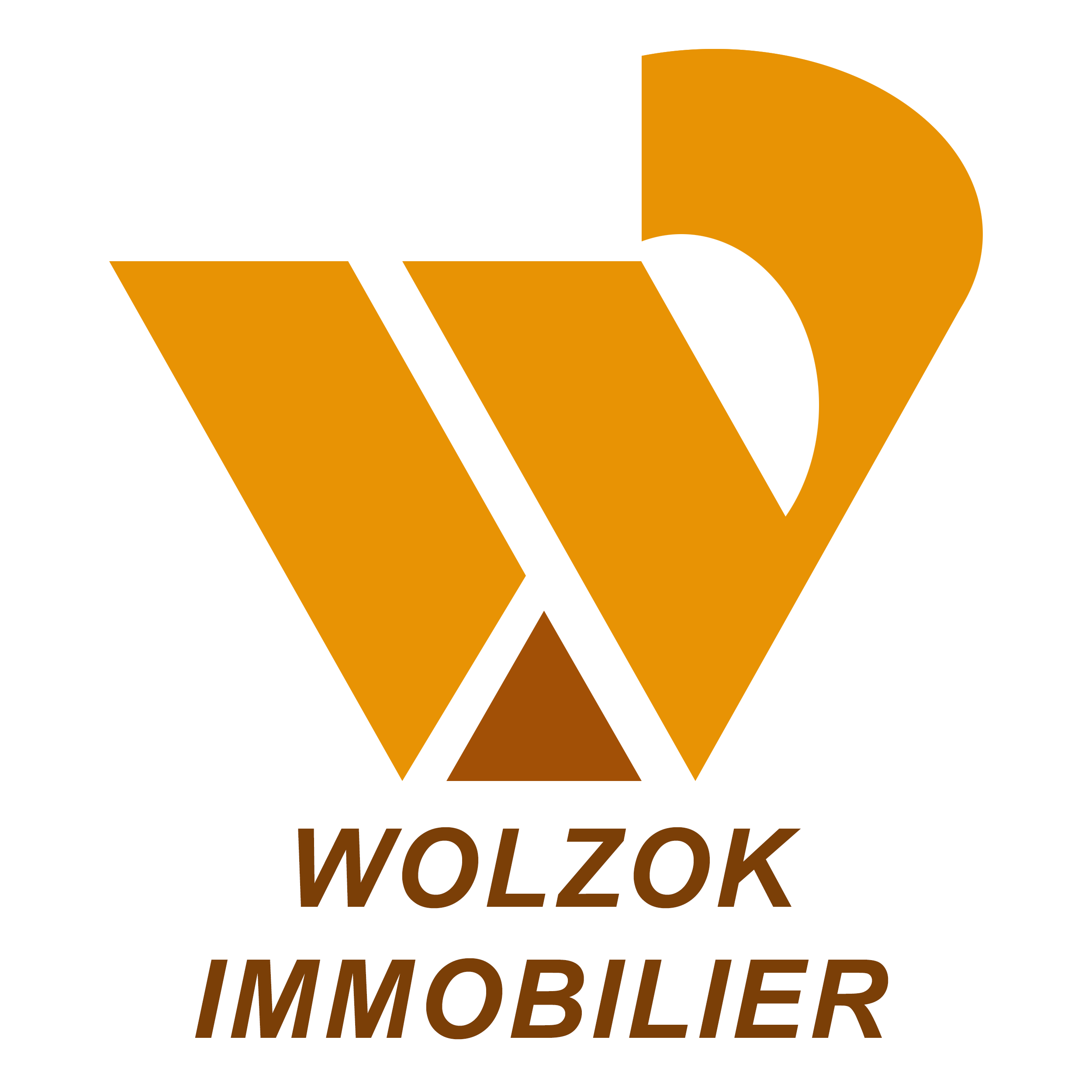 Wolzok Immobilier