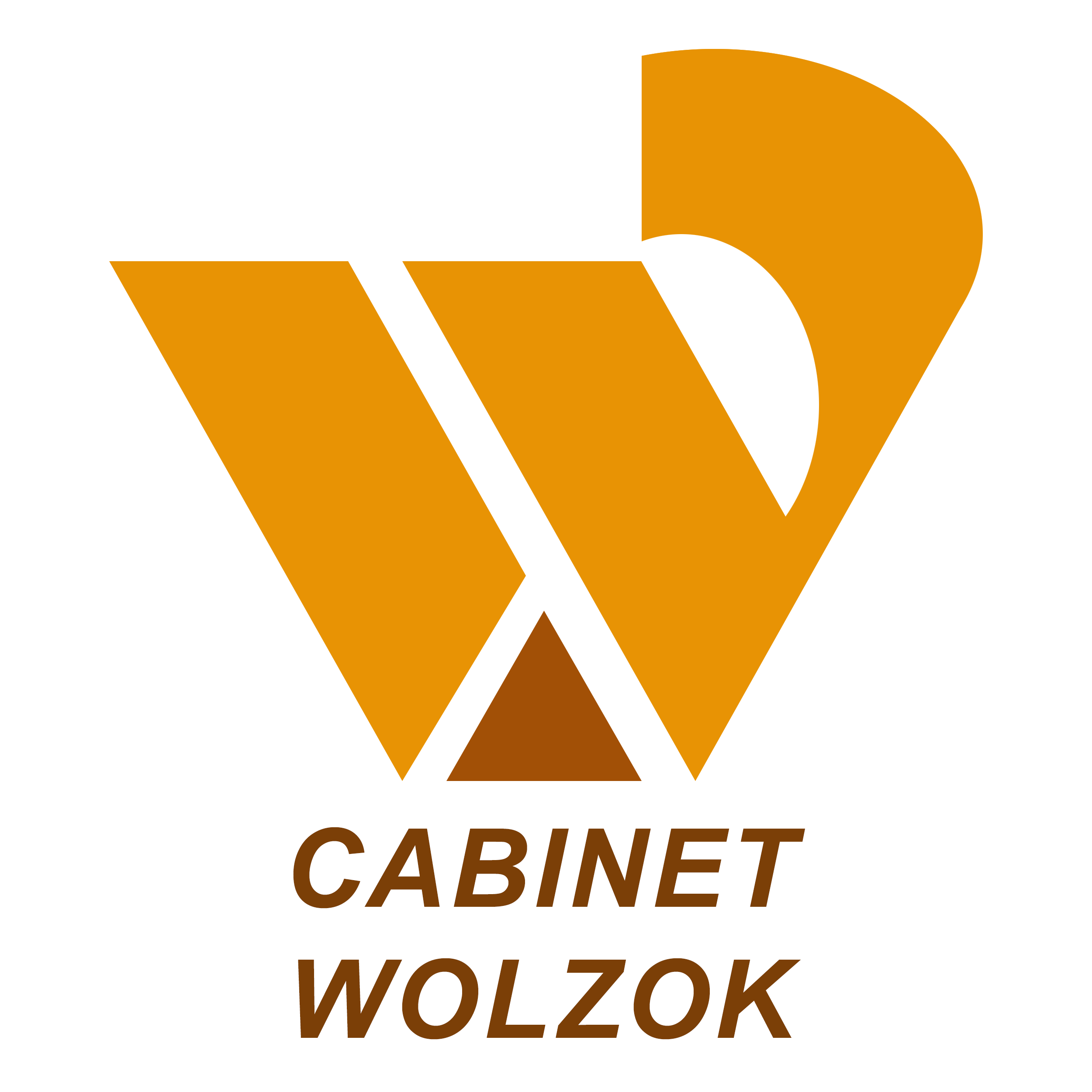 Cabinet Wolzok