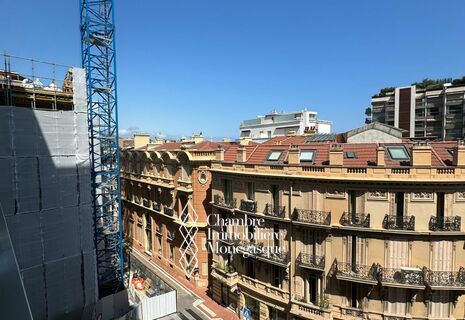 Monte Carlo / Buckingham Palace / Grand Studio avec terrasse