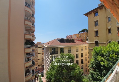 Monolocale - Uso misto - Condamine