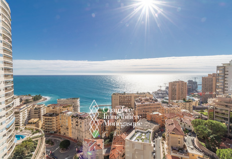 ANNUNCIADE - VISTA PANORAMICA SUL MARE 2P.