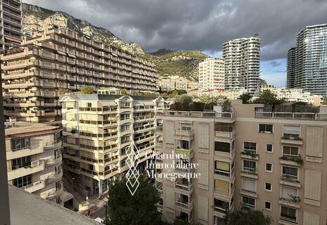 Studio Château d'azur usage bureau possible