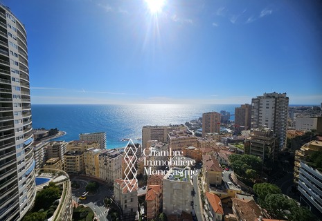 SUPERBE APPARTEMENT AVEC VUE MER