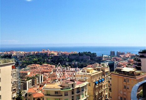 ATTICO DI 4 LOCALI CON TERRAZZA SUL TETTO, VISTA PANORAMICA