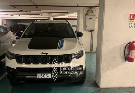 Jardin Exotique / Patio Palace / Spacieux parking
