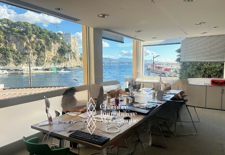 FONTVIEILLE - UFFICIO 290 M² IN AFFITTO