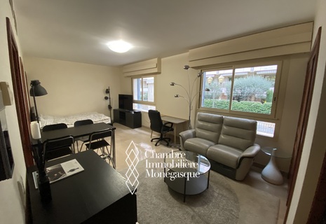 AGREABLE STUDIO / IMMEUBLE LE ROCAZUR