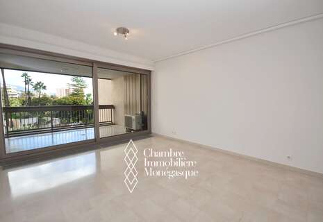 Park Palace - Monolocale - Carré d'Or