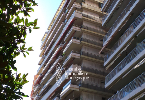 Ampio monolocale - Chateau Amiral