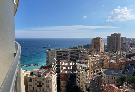 GRAND STUDIO VUE PANORAMIQUE MER & VILLE