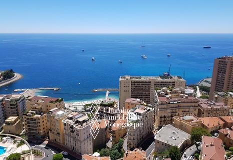2 pièces avec vue mer spectaculaire