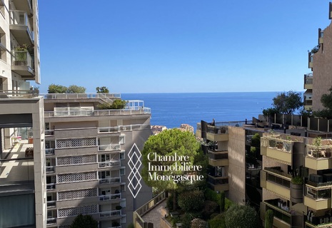 STUDIO  JARDIN EXOTIQUE - LE BERMUDA