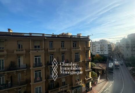 Place des Moulins / Le Continental / Spacieux 2 pièces avec terrasse
