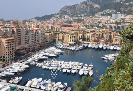 FONTVIEILLE | CIMABUE | 5 BEDROOMS