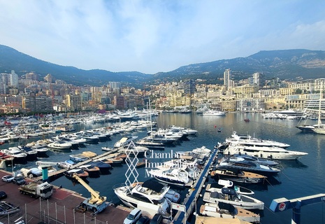 Immeuble de standing situé sur les quais du Port