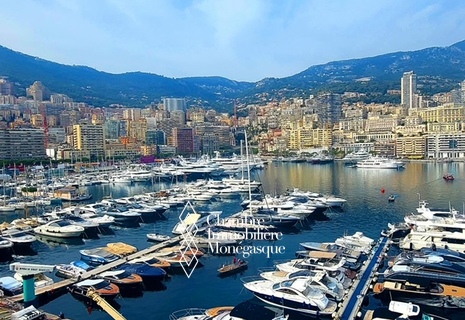 Immeuble de standing situé sur les quais du Port