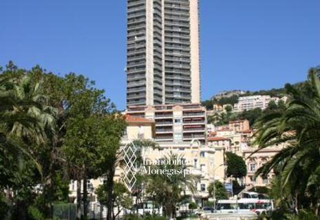 Magnifique appartement ensoleillé