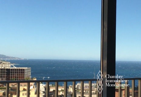 Jardin Exotique, 4 rooms, sea view, furnished