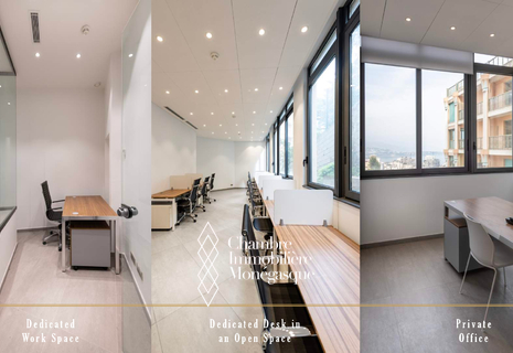 JARDIN EXOTIQUE - Office nel business center