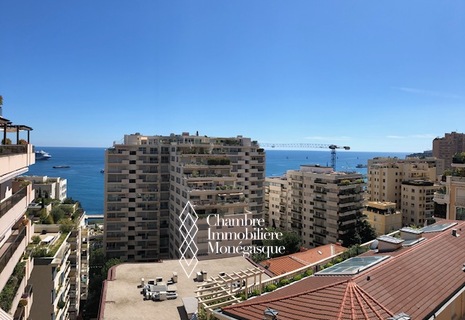 Ampio appartamento di 3 vani ristrutturato con vista mare - Chateau Périgord