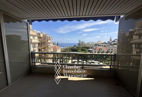 LES FLORALIES: MONOLOCALE - TERRAZZA - VISTA MARE SENZA OSTACOLI