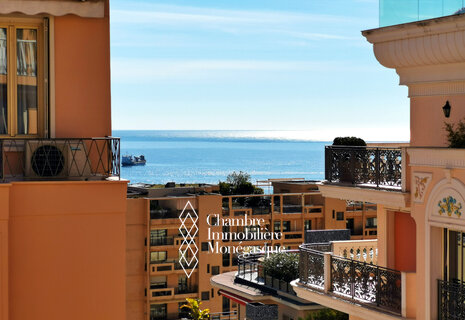 MONTE-CARLO -  STUDIO RÉNOVÉ - CENTRE