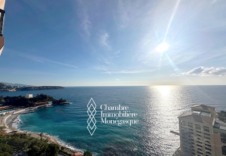 The Monte Carlo Sun - 4-rooms apartment - Saint-Roman