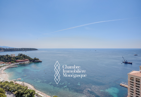 The Monte Carlo Sun - 4-rooms apartment - Saint-Roman