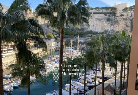 studio avec belle vue sur le petit port