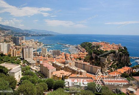 Monaco-Ville - Ristorante d'affari