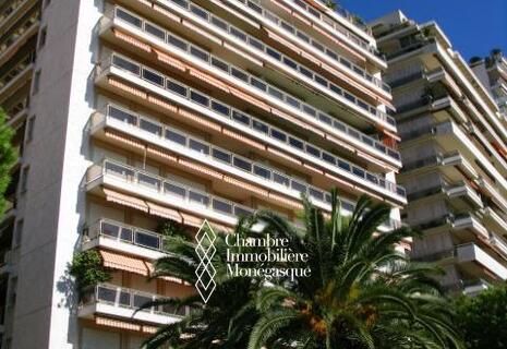 LARGE 3 ROOM APARTMENT- VALLESPIR