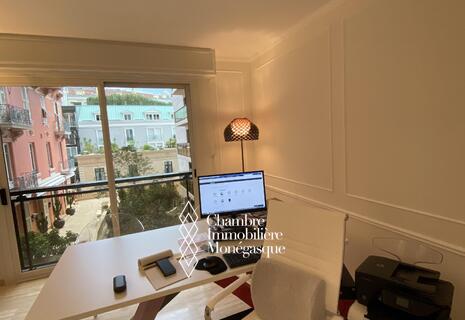MONTAIGNE B/C - Renovated studio with mixed use