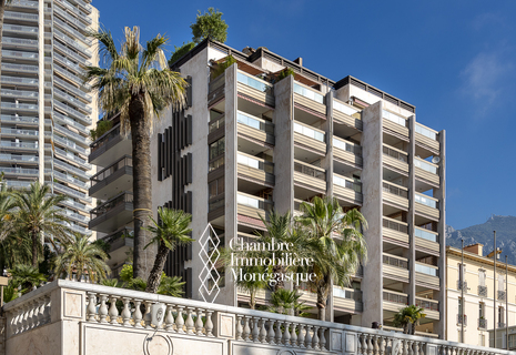 Magnifique 3 pieces - Park Palace