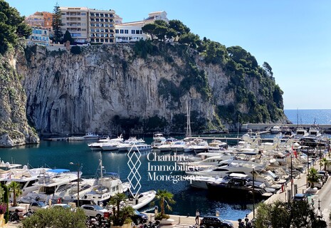 Rare 2 Rooms in Fontvieille