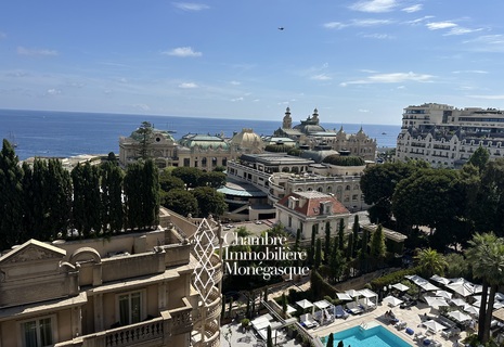 LES FLORALIES : A VENDRE STUDIO - TERRASSE - VUE MER