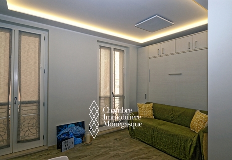 MONACO-VILLE, ONE ROOM APARTMENT RENOVATED