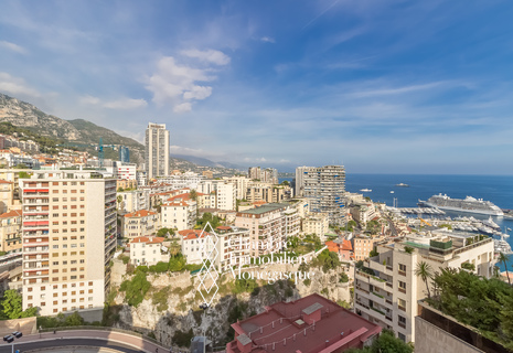LUXUEUX ET GRAND TRIPLEX AVEC  PARKING DOUBLE ET CAVES
