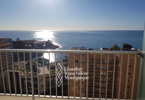 CHATEAU D'AZUR - STUDIO WITH MAGNIFICENT SEA VIEW