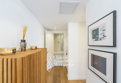 Monaco / Monte Carlo / Appartement de 2 pièces joliment rénové