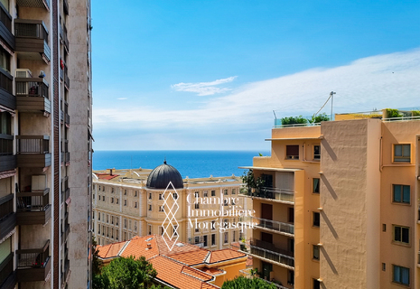 MONTE-CARLO: FURNISHED, SPACIOUS OFFICE AND HIGH FLOOR