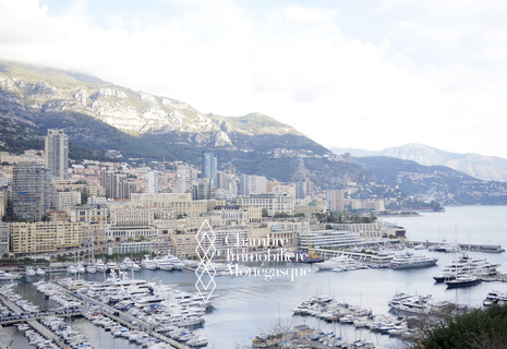 MONACO-VILLE - PROCHE DU PALAIS - DUPLEX VUE PANORAMIQUE