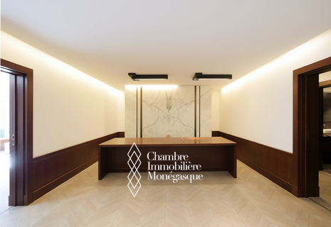 VILLA DEL SOLE - GRANDS BUREAUX DE STANDING